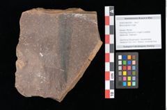 Foto (Objekt + Etikett) von Myrica lignitum Unger (NHMW-GEO-2024-0188-0590)